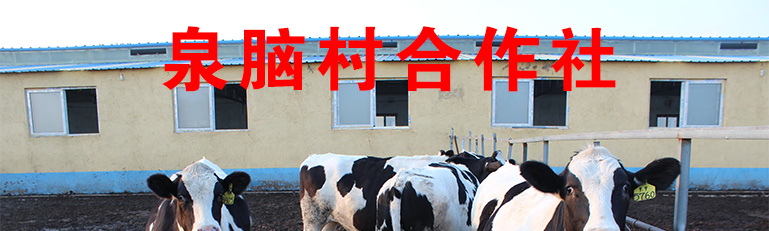 ȪXrINBֳ